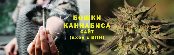 трава Гатчина