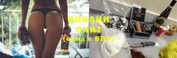 прущие грибы Абаза