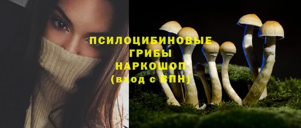 индика Гвардейск