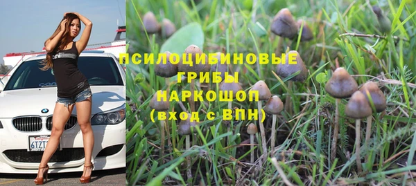 трава Гатчина