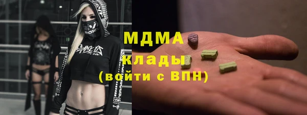 трава Гатчина