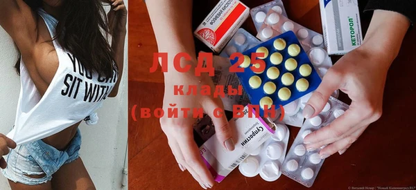 трава Гатчина