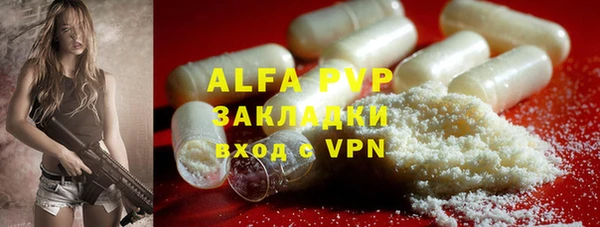 прущие грибы Абаза
