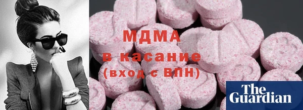 прущие грибы Абаза