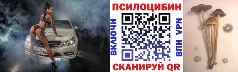 Галлюциногенные грибы Psilocybine cubensis Знаменск